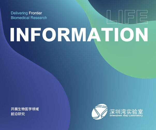 上海VI设计公司设计师需要了解的10个心理学知识